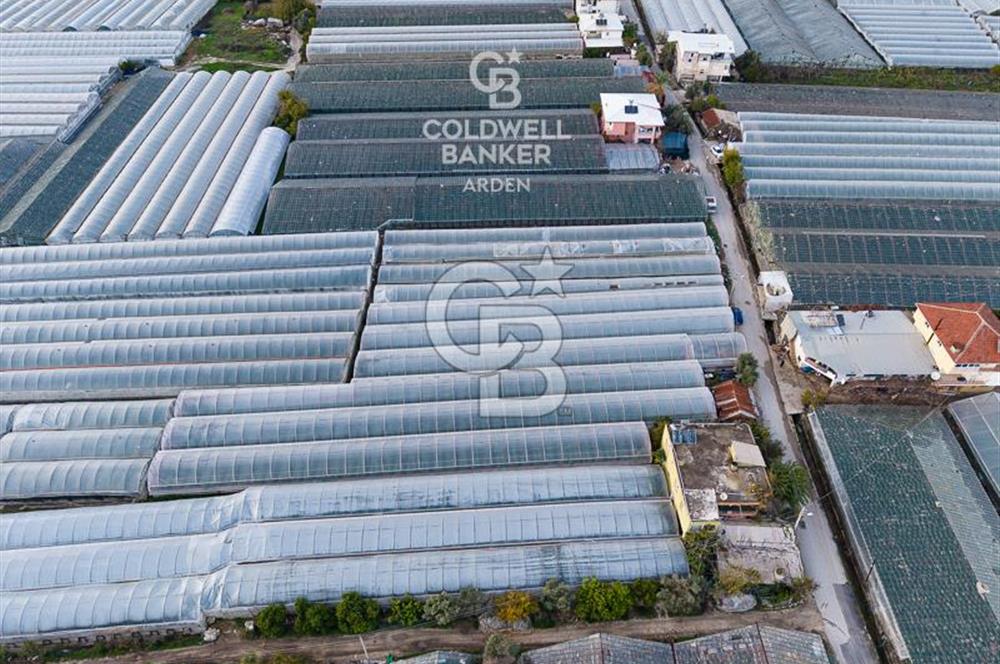 CB ARDEN'DEN DEMRE KARABUCAK SATILIK 2700 M2 SERA VE ORTAK EVİ