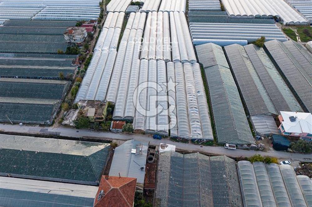 CB ARDEN'DEN DEMRE KARABUCAK SATILIK 2700 M2 SERA VE ORTAK EVİ