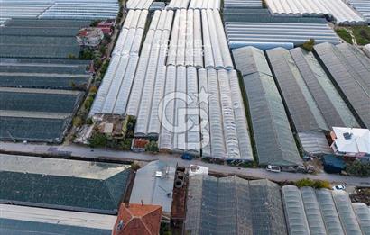 CB ARDEN'DEN DEMRE KARABUCAK SATILIK 2700 M2 SERA VE ORTAK EVİ