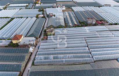 CB ARDEN'DEN DEMRE KARABUCAK SATILIK 2700 M2 SERA VE ORTAK EVİ