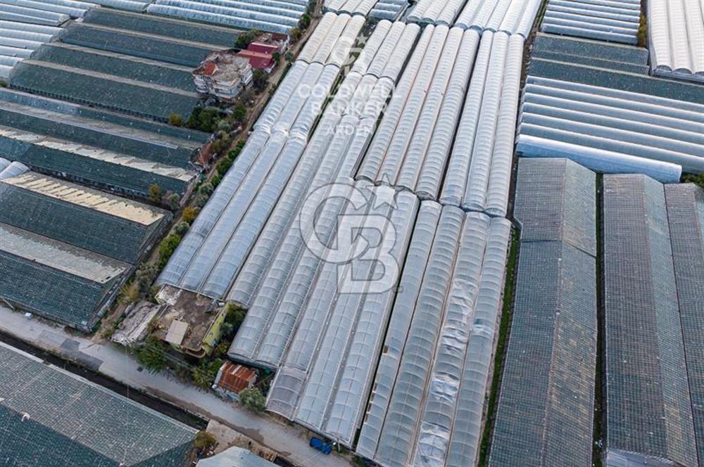 CB ARDEN'DEN DEMRE KARABUCAK SATILIK 2700 M2 SERA VE ORTAK EVİ