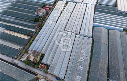 CB ARDEN'DEN DEMRE KARABUCAK SATILIK 2700 M2 SERA VE ORTAK EVİ