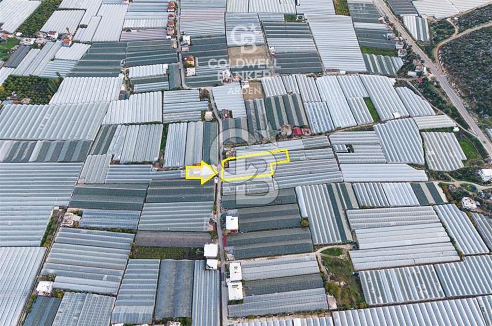 CB ARDEN'DEN DEMRE KARABUCAK SATILIK 2700 M2 SERA VE ORTAK EVİ