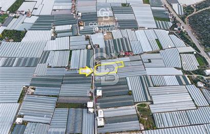 CB ARDEN'DEN DEMRE KARABUCAK SATILIK 2700 M2 SERA VE ORTAK EVİ