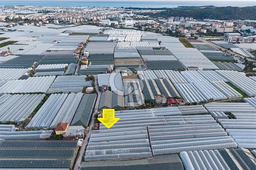 CB ARDEN'DEN DEMRE KARABUCAK SATILIK 2700 M2 SERA VE ORTAK EVİ