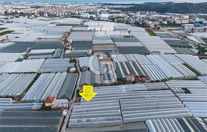 CB ARDEN'DEN DEMRE KARABUCAK SATILIK 2700 M2 SERA VE ORTAK EVİ