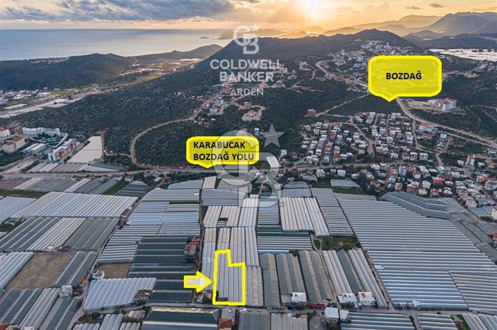 CB ARDEN'DEN DEMRE KARABUCAK SATILIK 2700 M2 SERA VE ORTAK EVİ