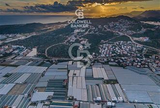 CB ARDEN'DEN DEMRE KARABUCAK SATILIK 2700 M2 SERA VE ORTAK EVİ - 10 - 324058