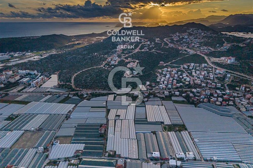 CB ARDEN'DEN DEMRE KARABUCAK SATILIK 2700 M2 SERA VE ORTAK EVİ