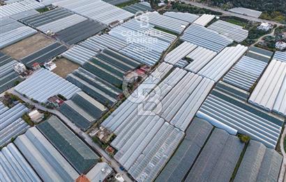 CB ARDEN'DEN DEMRE KARABUCAK SATILIK 2700 M2 SERA VE ORTAK EVİ