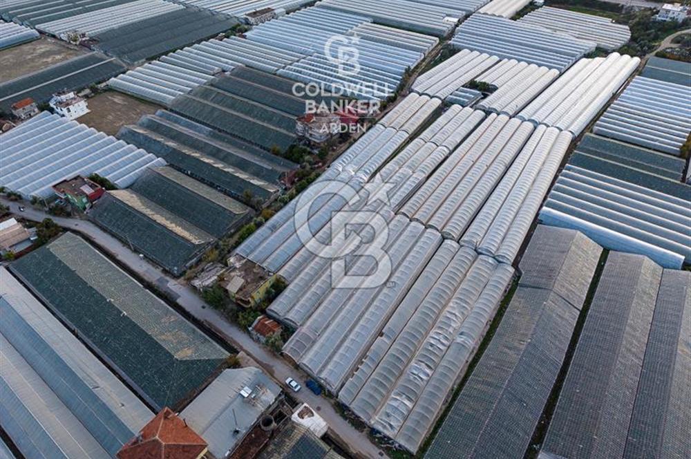 CB ARDEN'DEN DEMRE KARABUCAK SATILIK 2700 M2 SERA VE ORTAK EVİ