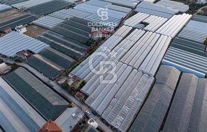 CB ARDEN'DEN DEMRE KARABUCAK SATILIK 2700 M2 SERA VE ORTAK EVİ