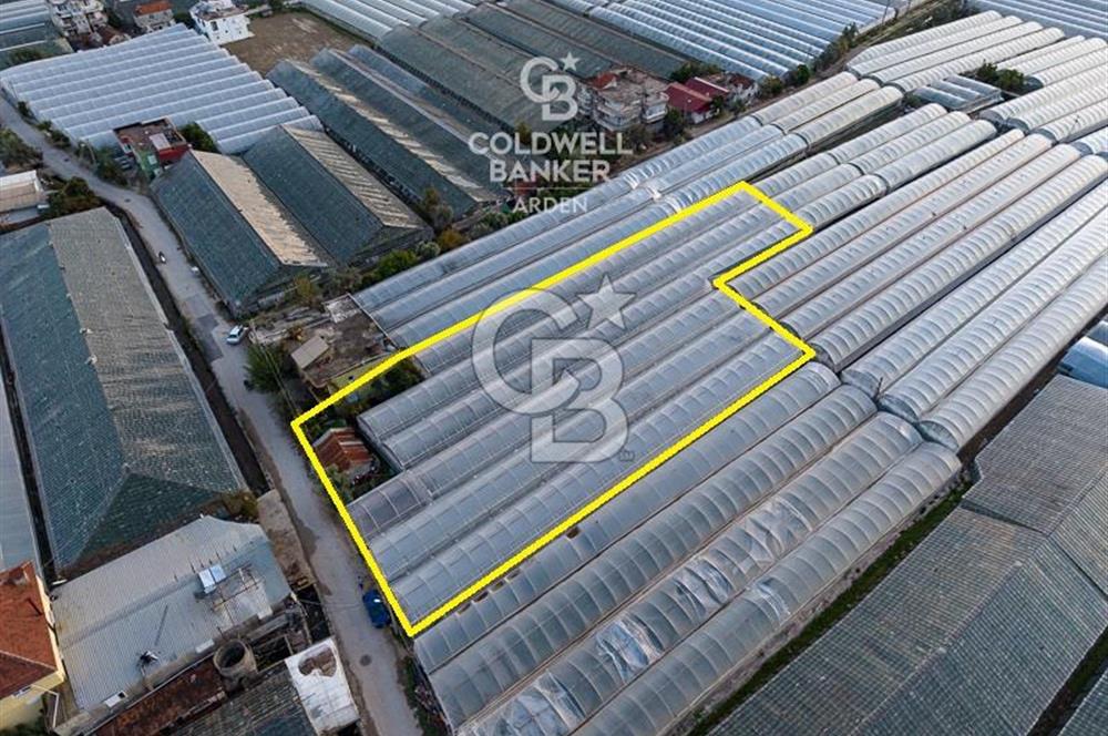 CB ARDEN'DEN DEMRE KARABUCAK SATILIK 2700 M2 SERA VE ORTAK EVİ