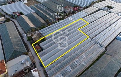 CB ARDEN'DEN DEMRE KARABUCAK SATILIK 2700 M2 SERA VE ORTAK EVİ