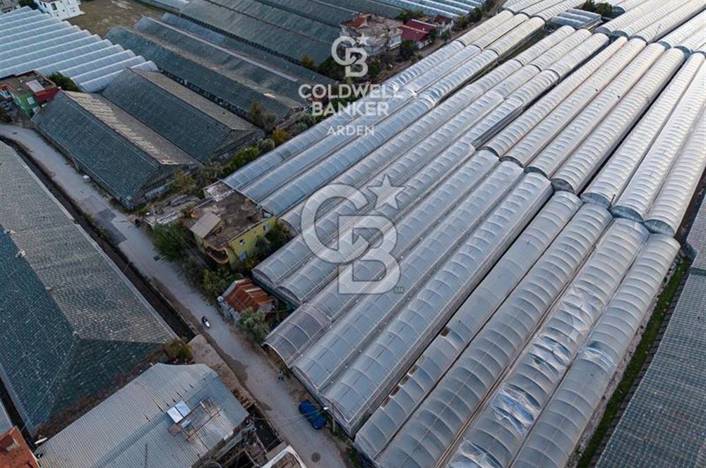 CB ARDEN'DEN DEMRE KARABUCAK SATILIK 2700 M2 SERA VE ORTAK EVİ