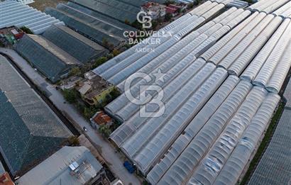 CB ARDEN'DEN DEMRE KARABUCAK SATILIK 2700 M2 SERA VE ORTAK EVİ