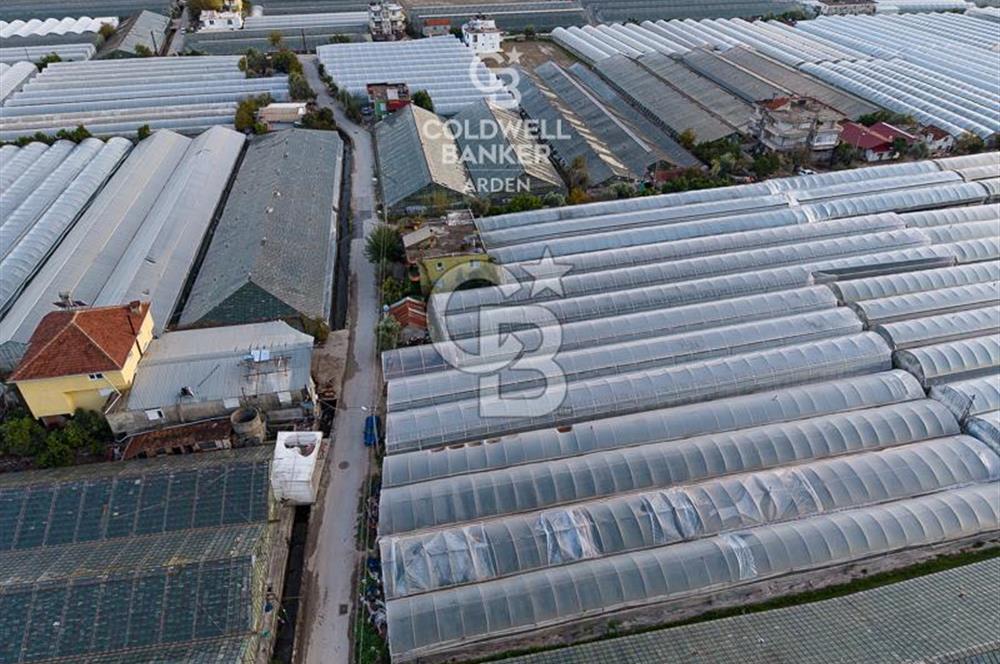 CB ARDEN'DEN DEMRE KARABUCAK SATILIK 2700 M2 SERA VE ORTAK EVİ