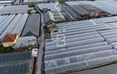 CB ARDEN'DEN DEMRE KARABUCAK SATILIK 2700 M2 SERA VE ORTAK EVİ