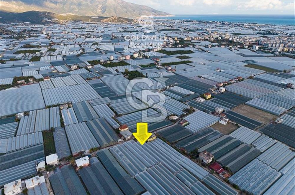 CB ARDEN'DEN DEMRE KARABUCAK SATILIK 2700 M2 SERA VE ORTAK EVİ