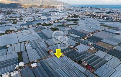 CB ARDEN'DEN DEMRE KARABUCAK SATILIK 2700 M2 SERA VE ORTAK EVİ