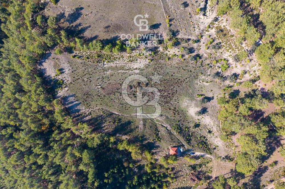 CB ARDEN'DEN ANTALYA KAŞ SATILIK 28000 M2 TARLA VE MÜSTAKİL EV