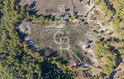 CB ARDEN'DEN ANTALYA KAŞ SATILIK 28000 M2 TARLA VE MÜSTAKİL EV