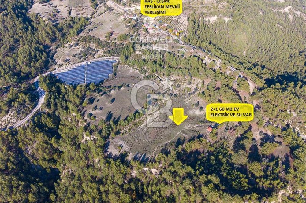 CB ARDEN'DEN ANTALYA KAŞ SATILIK 28000 M2 TARLA VE MÜSTAKİL EV