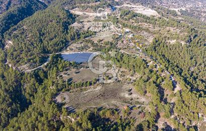 CB ARDEN'DEN ANTALYA KAŞ SATILIK 28000 M2 TARLA VE MÜSTAKİL EV