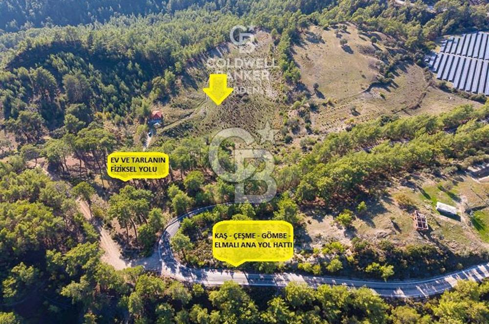 CB ARDEN'DEN ANTALYA KAŞ SATILIK 28000 M2 TARLA VE MÜSTAKİL EV