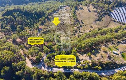 CB ARDEN'DEN ANTALYA KAŞ SATILIK 28000 M2 TARLA VE MÜSTAKİL EV