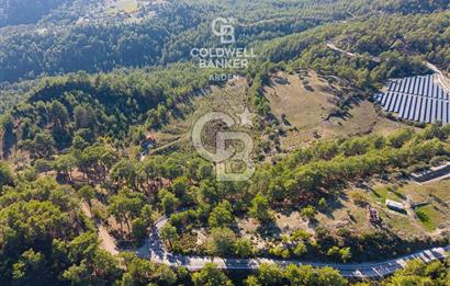 CB ARDEN'DEN ANTALYA KAŞ SATILIK 28000 M2 TARLA VE MÜSTAKİL EV