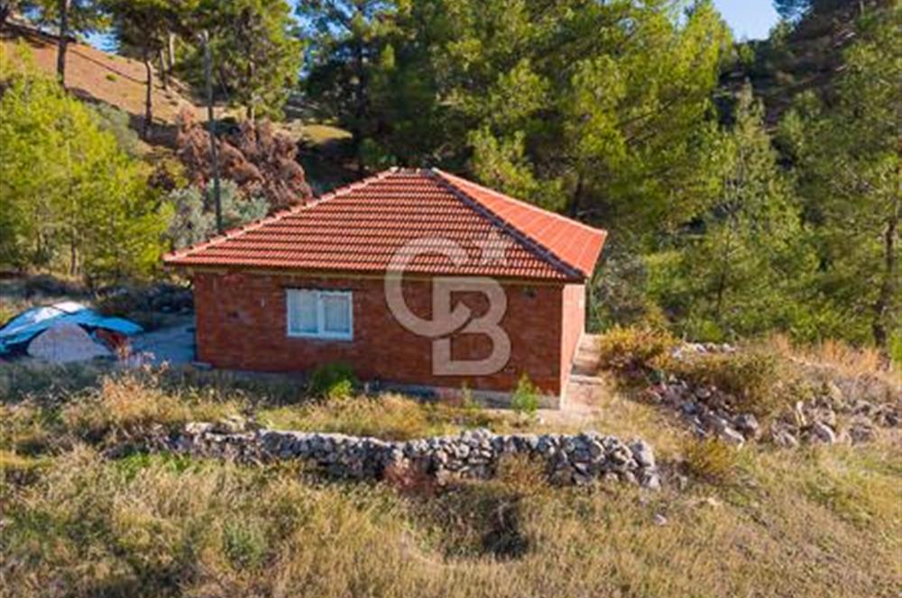 CB ARDEN'DEN ANTALYA KAŞ SATILIK 28000 M2 TARLA VE MÜSTAKİL EV