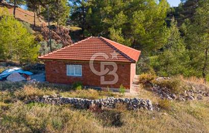 CB ARDEN'DEN ANTALYA KAŞ SATILIK 28000 M2 TARLA VE MÜSTAKİL EV