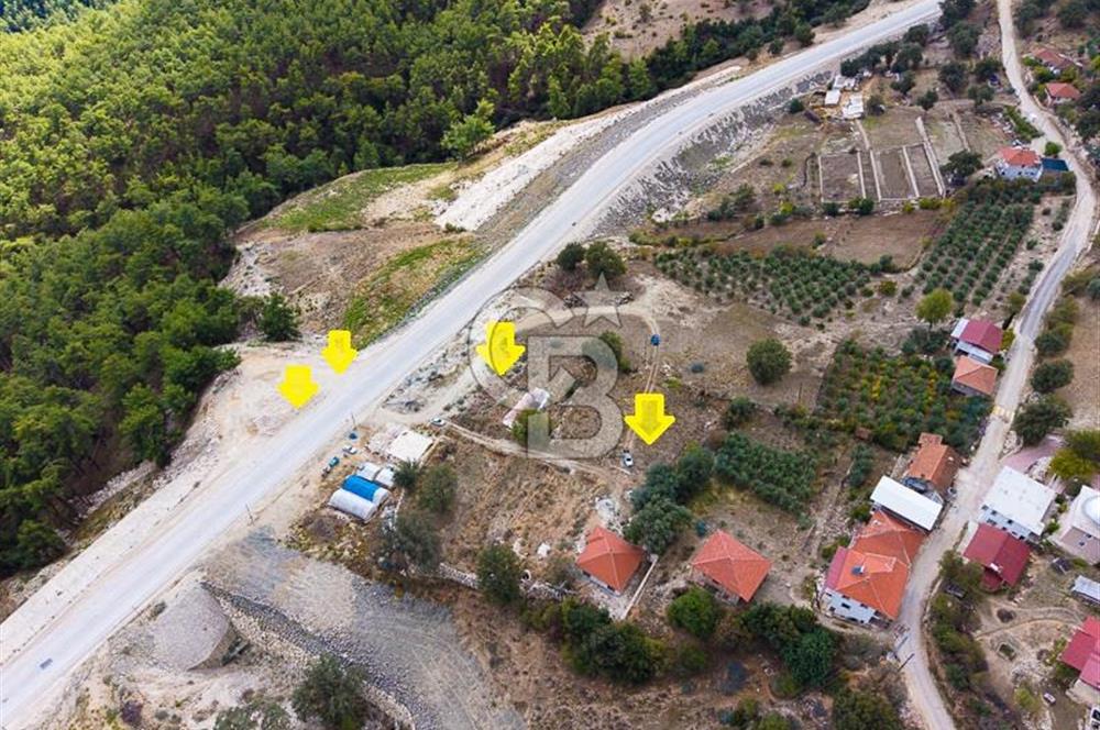 CB ARDEN'DEN ANTALYA KAŞ SATILIK 4 AYRI MÜSTAKİL TAPU TARLA