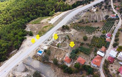 CB ARDEN'DEN ANTALYA KAŞ SATILIK 4 AYRI MÜSTAKİL TAPU TARLA