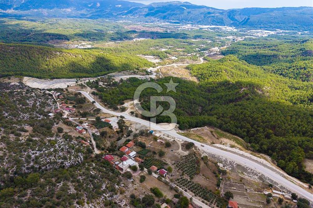 CB ARDEN'DEN ANTALYA KAŞ SATILIK 4 AYRI MÜSTAKİL TAPU TARLA
