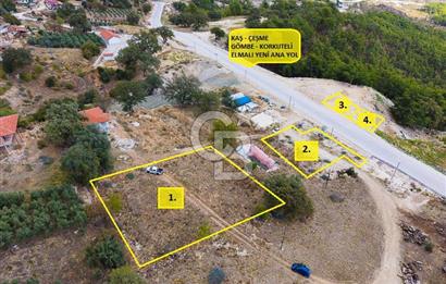 CB ARDEN'DEN ANTALYA KAŞ SATILIK 4 AYRI MÜSTAKİL TAPU TARLA