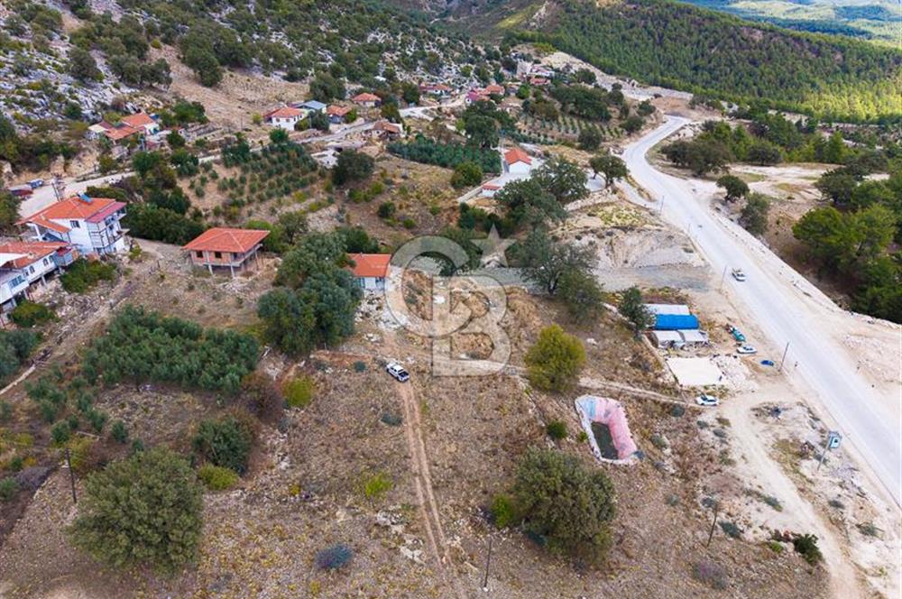 CB ARDEN'DEN ANTALYA KAŞ SATILIK 4 AYRI MÜSTAKİL TAPU TARLA