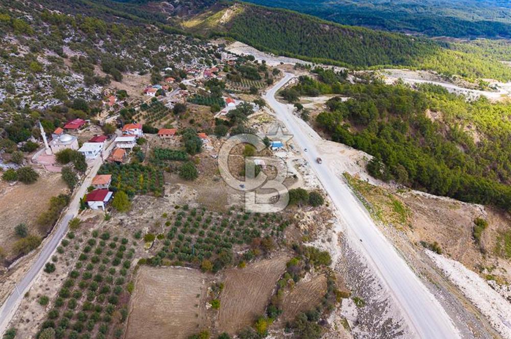 CB ARDEN'DEN ANTALYA KAŞ SATILIK 4 AYRI MÜSTAKİL TAPU TARLA