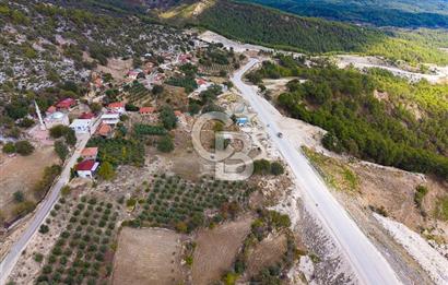 CB ARDEN'DEN ANTALYA KAŞ SATILIK 4 AYRI MÜSTAKİL TAPU TARLA