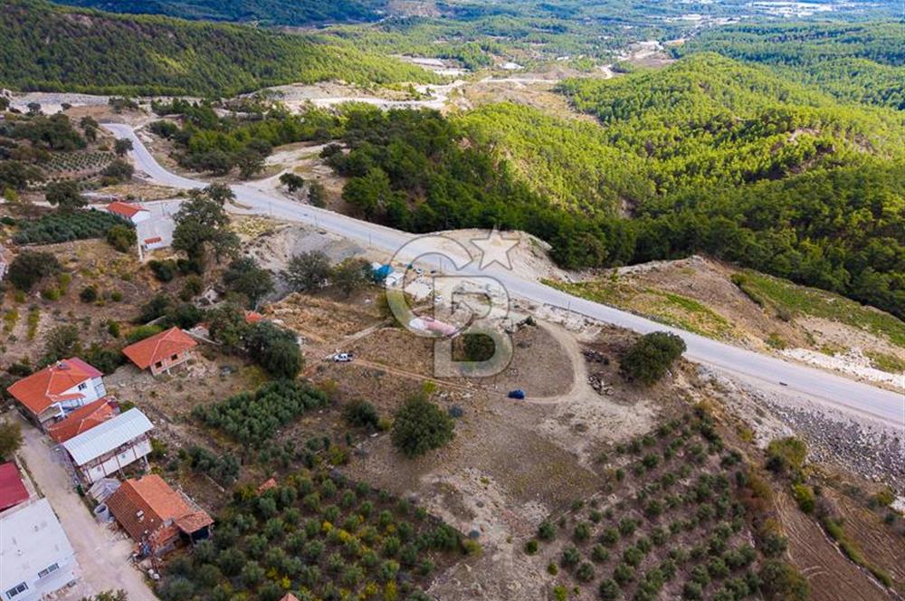 CB ARDEN'DEN ANTALYA KAŞ SATILIK 4 AYRI MÜSTAKİL TAPU TARLA