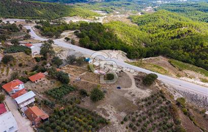 CB ARDEN'DEN ANTALYA KAŞ SATILIK 4 AYRI MÜSTAKİL TAPU TARLA