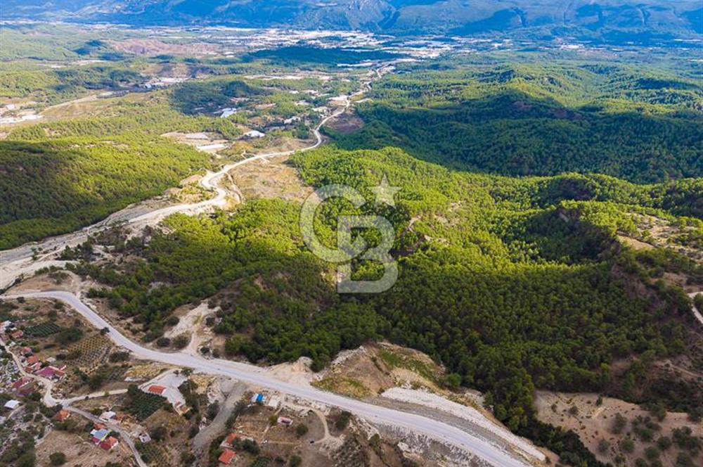 CB ARDEN'DEN ANTALYA KAŞ SATILIK 4 AYRI MÜSTAKİL TAPU TARLA