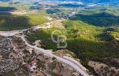 CB ARDEN'DEN ANTALYA KAŞ SATILIK 4 AYRI MÜSTAKİL TAPU TARLA
