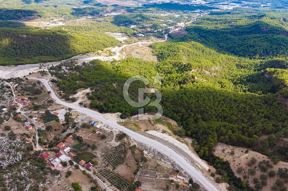 CB ARDEN'DEN ANTALYA KAŞ SATILIK 4 AYRI MÜSTAKİL TAPU TARLA