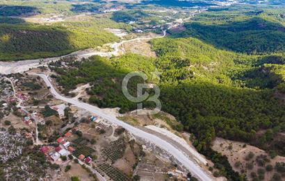 CB ARDEN'DEN ANTALYA KAŞ SATILIK 4 AYRI MÜSTAKİL TAPU TARLA