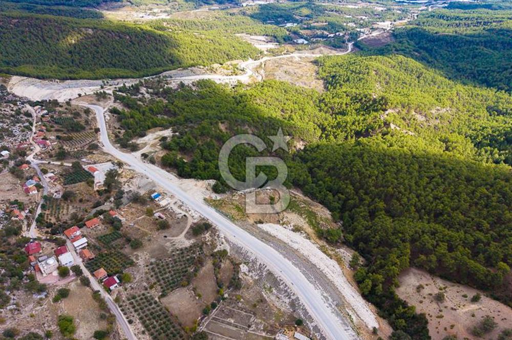 CB ARDEN'DEN ANTALYA KAŞ SATILIK 4 AYRI MÜSTAKİL TAPU TARLA