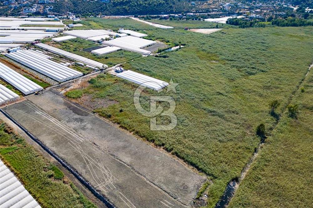 CB ARDEN'DEN ANTALYA KAŞ YEŞİLKÖY SATILIK MÜSTAKİL TARLA