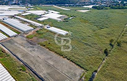 CB ARDEN'DEN ANTALYA KAŞ YEŞİLKÖY SATILIK MÜSTAKİL TARLA