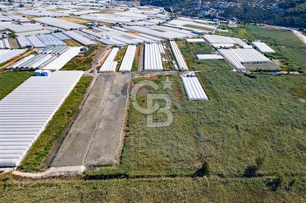 CB ARDEN'DEN ANTALYA KAŞ YEŞİLKÖY SATILIK MÜSTAKİL TARLA